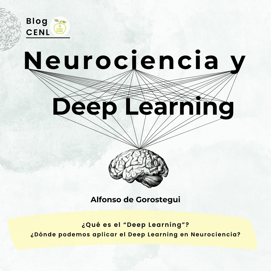 revolutionizing-neuroscience-with-deep-learning-cenetherlands