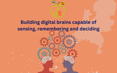 Building digital brains capable of sensing, remembering and deciding